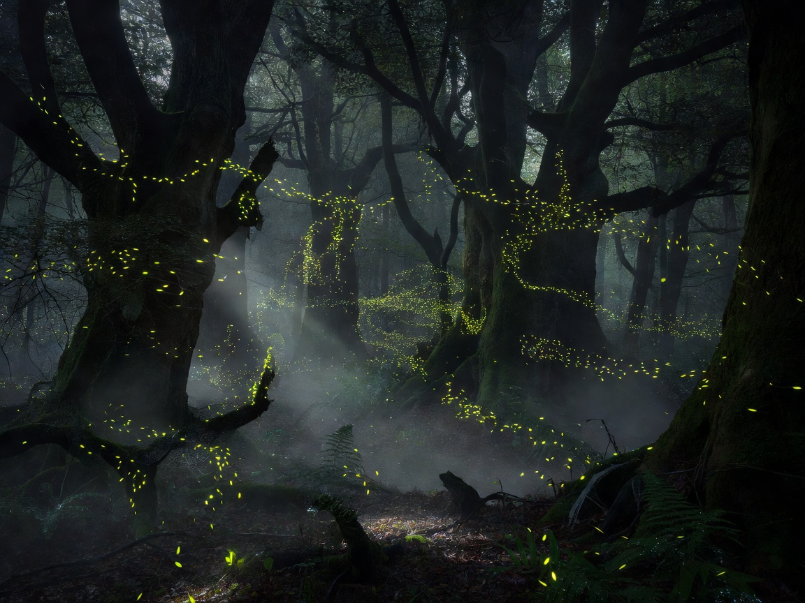 Eerie atmospheric deep woods with dynamic glowing fireflies hovering above dark foliage